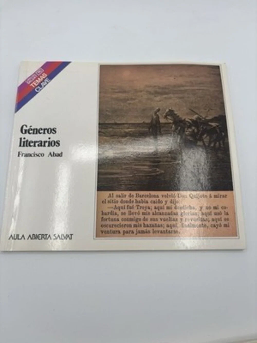 Aula Abierta Salvat Temas Clave Spanish Nonfiction Set Illustrated Valverde Lot